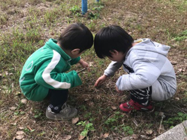 制度取得者の声